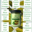 Moringa Powder