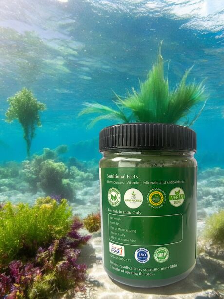 Spirulin1