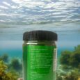 Spirulina Powder