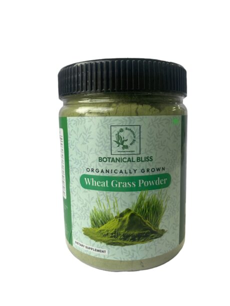 Wheat Grass 4