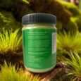 Wheat Grass Powder