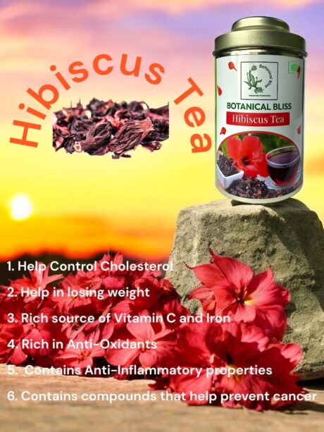 Hibiscus 15