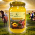 Gir Cow Organic Ghee