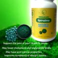 Spirulina with Vit. B12 and D3 Tablet